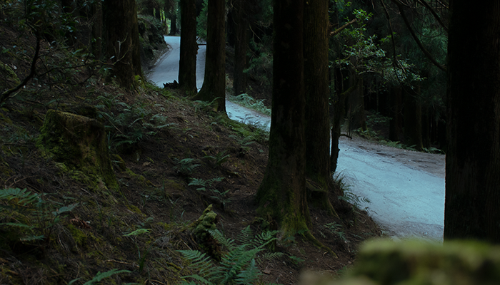 The path on the way to Rishop